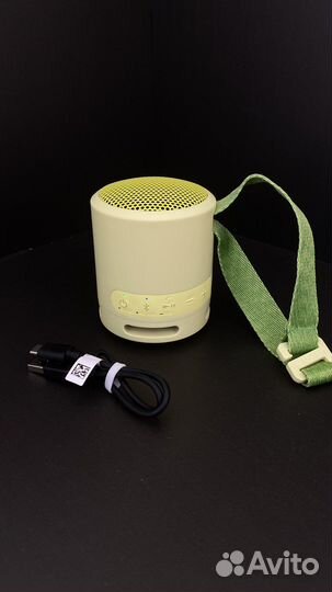 Портативная колонка Sony