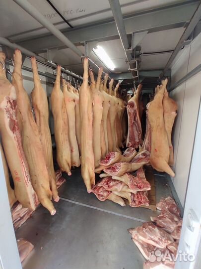 Мясо свинина полутуши