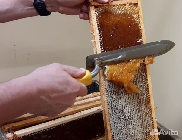 Мёд 24 года натуральный опт