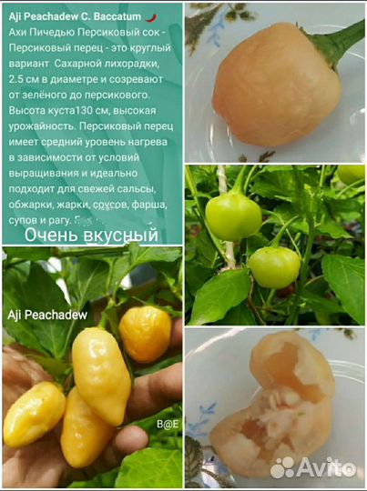 Сладко-Острый перец ягодный, ароматный