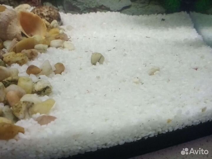 Грунт для аквариума белый