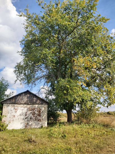 Дом 40 м² на участке 50 сот.