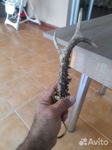 Продам или обменяю рога косули