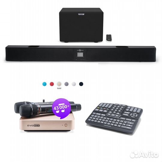 Караоке комплект EvoBox Plus микрофоны EvoSoundBar