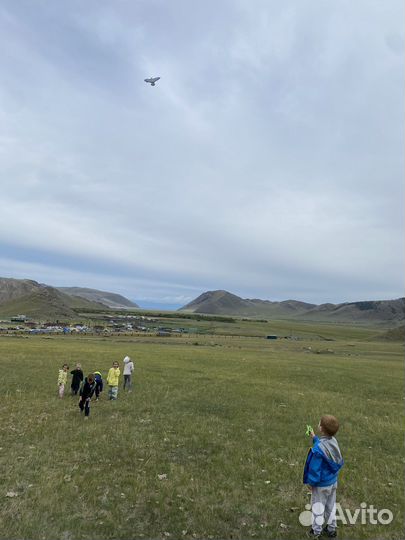 Воздушный змей