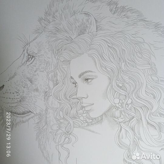 Раскраска А. Колдарева Эклиптика