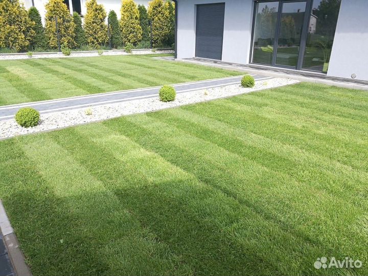 Рулонный газон, укладка рулонного газона