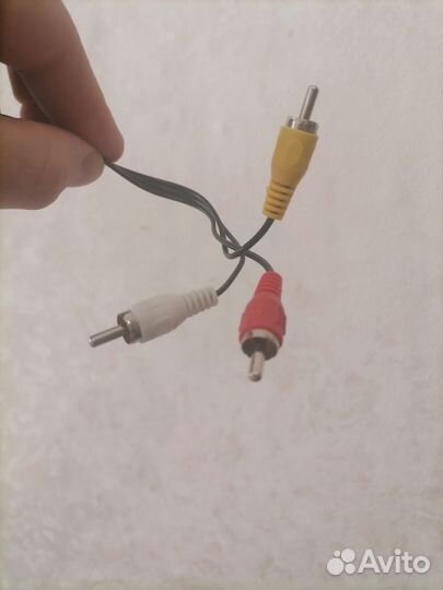 Тюльпаны провода