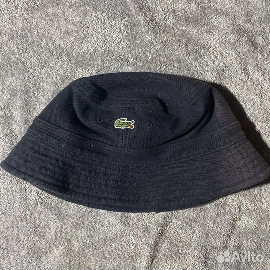 Панама lacoste