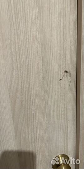 Дверь межкомнатная