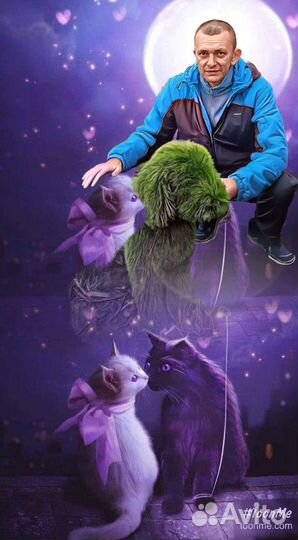 Груминг Стрижка и уход Возможен выезд