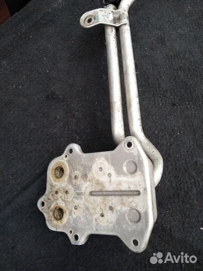 Радиатор масляный 03C117021J 1.4 Бензин Volkswag