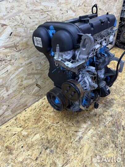 Двигатель Ford focus 2 1.6 100Лс hwda