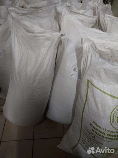 Пивная дробина