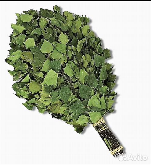 Пихтовые веники для бани