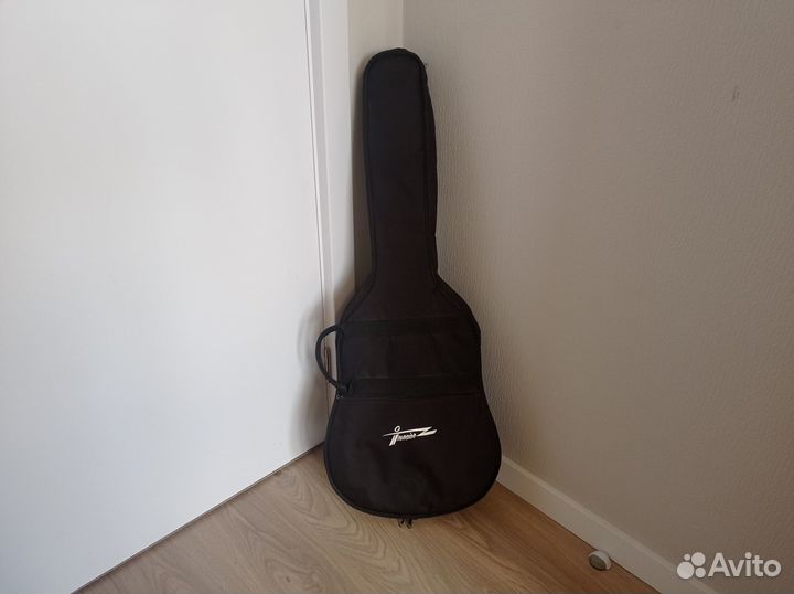 Гитара полуакустика invasion с чехлом