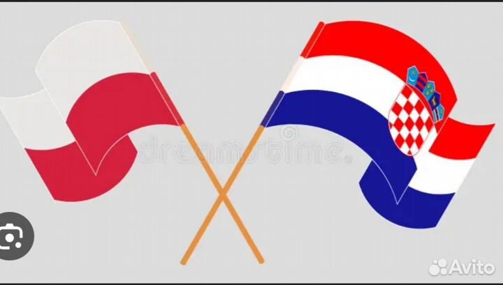 Польский, хорватский, английский. Я полиглот