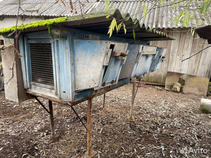 Клетка для разведения кролика