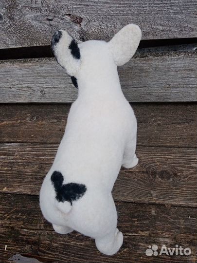 Французский бульдог