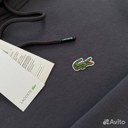 Толстовка lacoste синяя