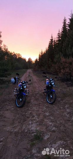 Альфа rx110