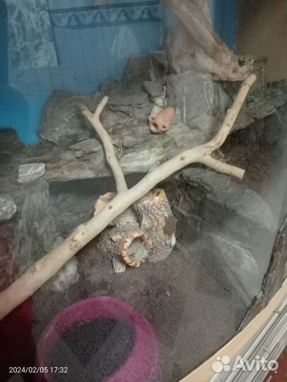 Продам террариум для ваших питомцев