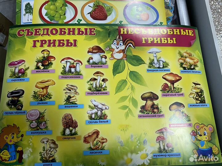 Образовательные плакаты