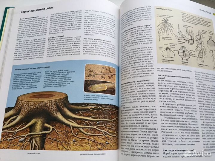 Книга «Азбука природы»