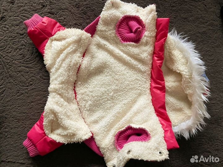 Вещи для маленьких собак