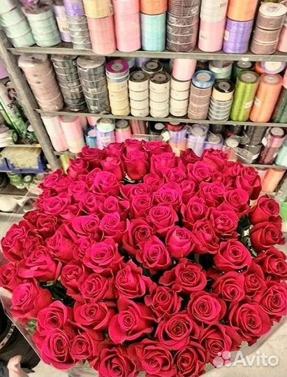 Высокие розы Гигантские розы Доставка цветов