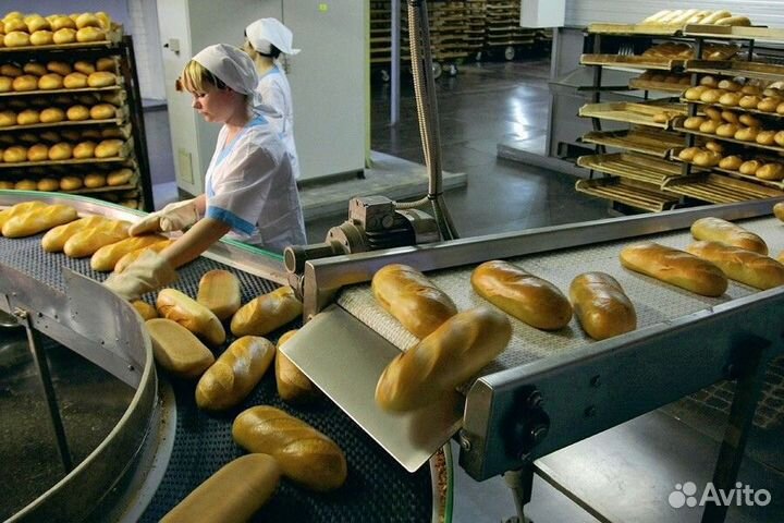 Укладчик-упаковщик / еженедельные выплаты