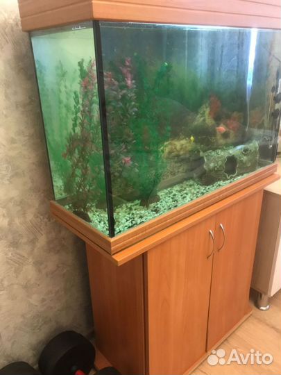 Аквариум с тумбой 500 литров