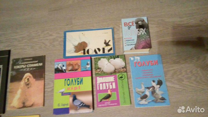 Дача, животные, лек травы, растения, кулинария