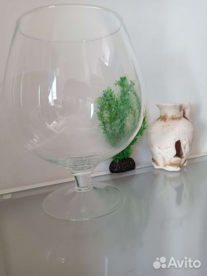 Аквариум ваза