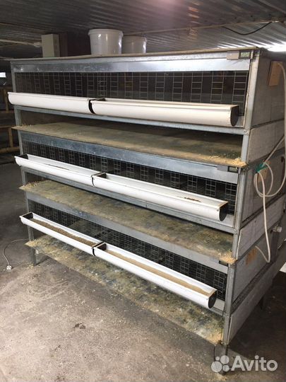 Клетка (брудер)