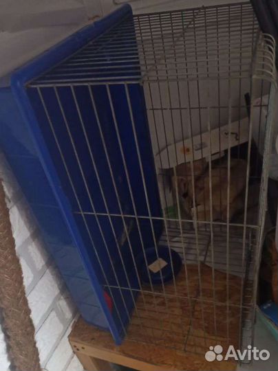 Клетка для грызунов большая