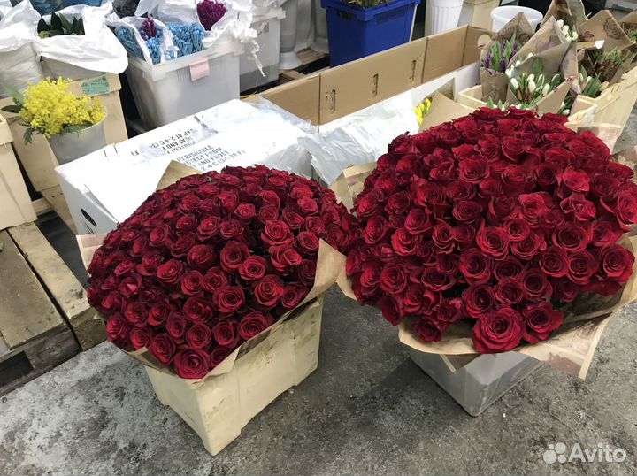 Розы 101 роза 51 доставка цветов