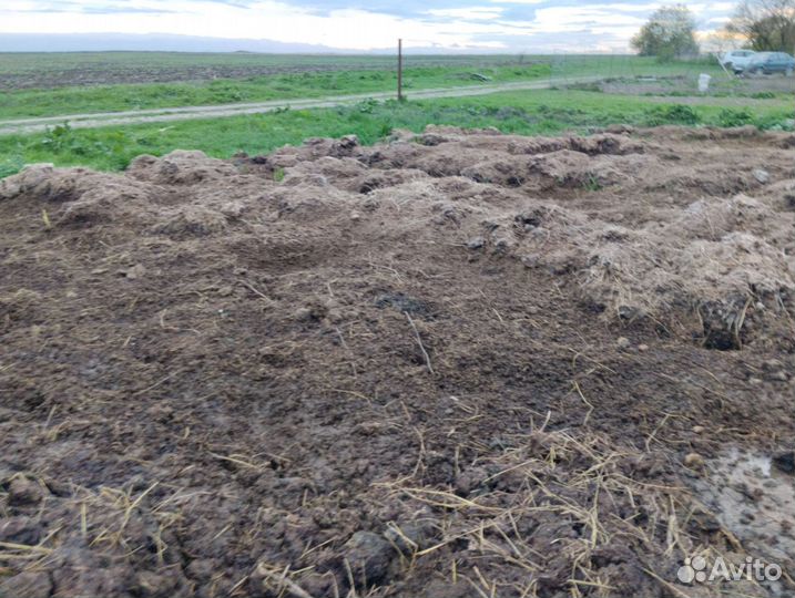 Чернозем самовывоз