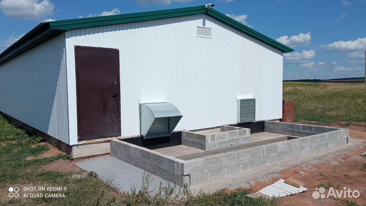 Ищу партнёра по бизнесу в кролиководстве