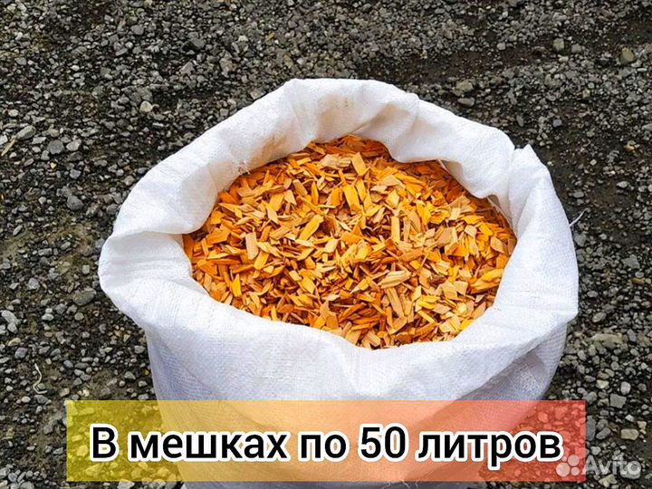 Щепа