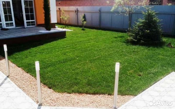 Рулонный газон, укладка, продажа