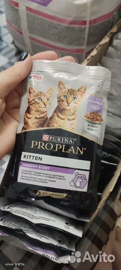 Корм для котят pro plan сухой delicate и влажный