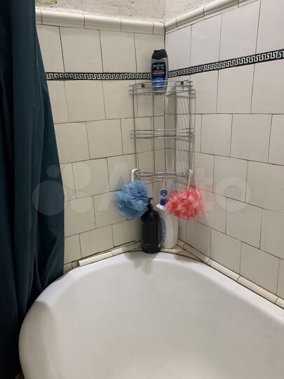 Комната 19,6 м² в 3-к., 5/5 эт.