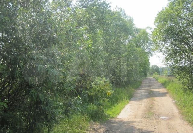 Участок 3,6 га (СНТ, ДНП)