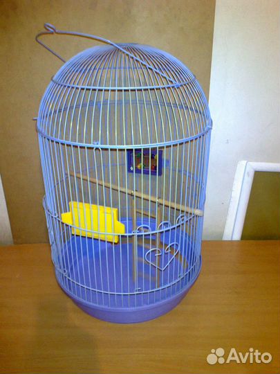 Клетки для грызуна и попугая, переноски, колесо