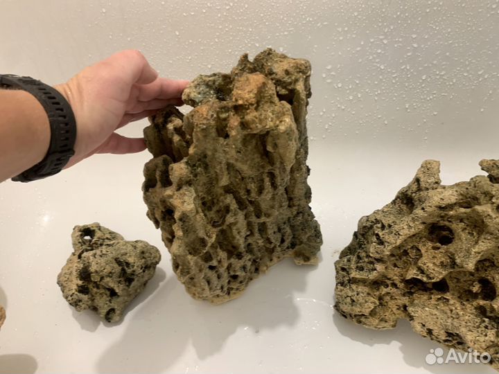 Камень песчанник в аквариум