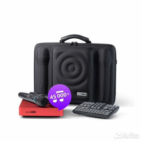 Караоке EvoBox Plus Ruby с микрофонами + EvoCase