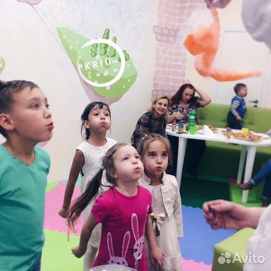 Крио шоу. Изготовление мороженого. Серебряное шоу