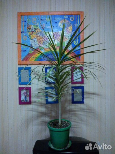 Авторское панно