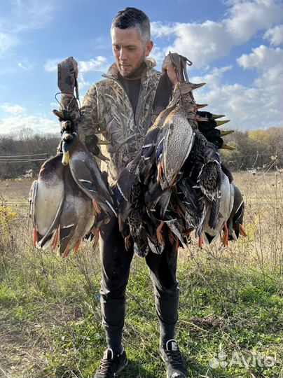 Охота на утку